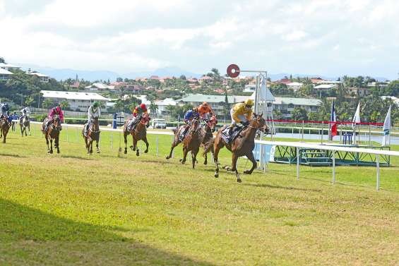 Les poulains à l’honneur à Boulouparis