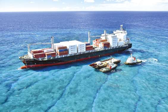 Le Kea Trader fait plonger des entreprises