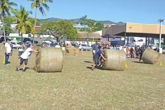 Des jeux broussards qui décoiffent