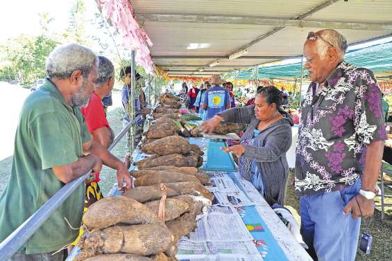 La tribu de Hnawayac a mis l’igname à l’honneur avec la Fête du wailu