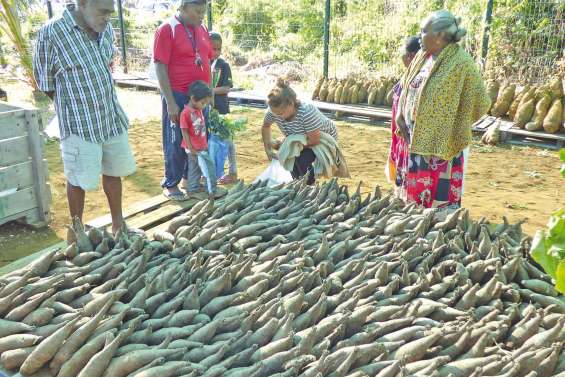 Un grand marché pour fêter les dix ans de l’Unité de conditionnement