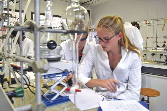 Des lycéens dans les laboratoires  de l’Université pendant les vacances