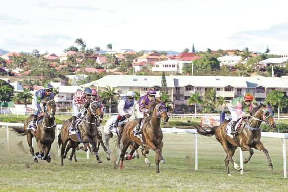 Les chevaux sont de retour à Nouméa