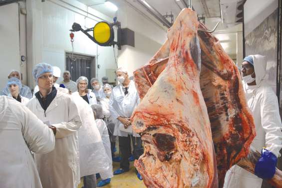 Les enchères s’envolent à l’Ocef