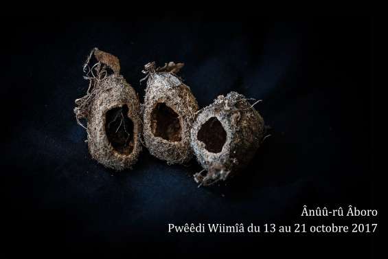 45 films et autant de regards