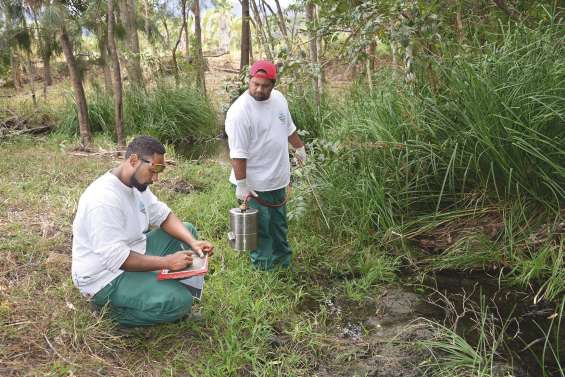 Déploiement des épandages pour neutraliser les intrus