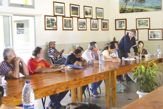 Mine Pinpin : réhabiliter  la ravine « dès que possible »