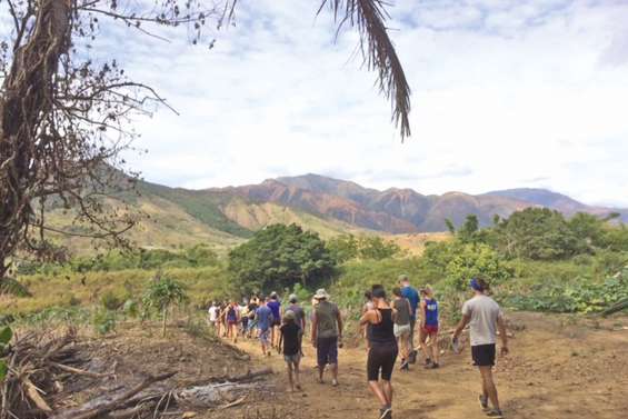 Thio dévoile de nouveau ses trésors