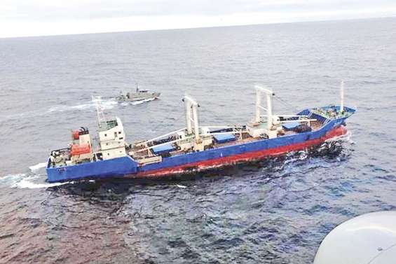 Condamnés pour avoir pêché 6 000 requins