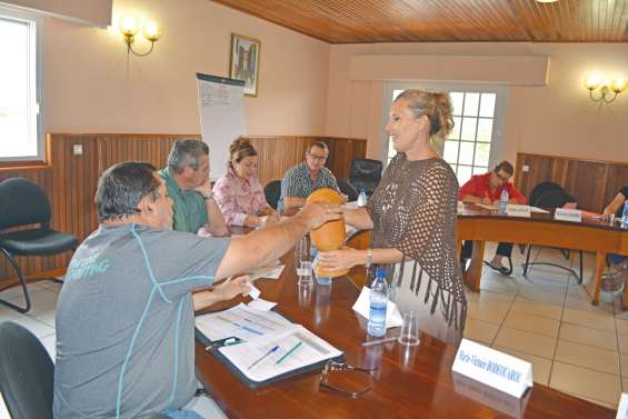 Les nouvelles commissions municipales installées