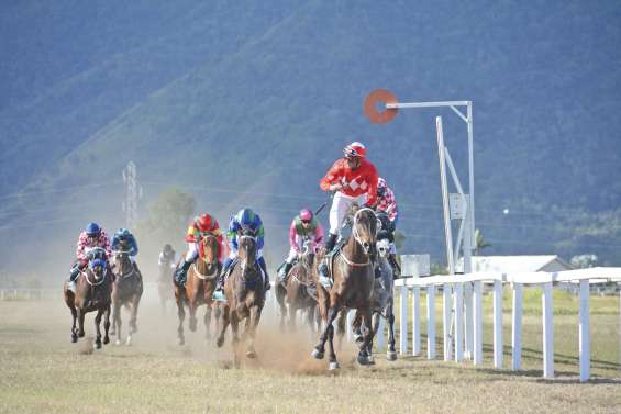 Saga Africa, ambiance  de la Brousse