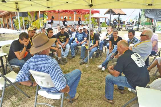 A Déva, l’agriculture  soigne ses jeunes pousses