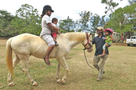 La parentalité, un travail de cheval