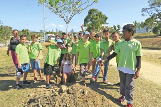 Les élèves de Paul-Duboisé parient sur le vert au parc de Koutio