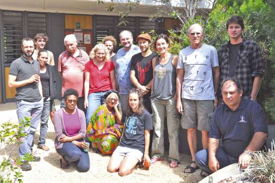 Les espèces des Oxera passées au peigne fin