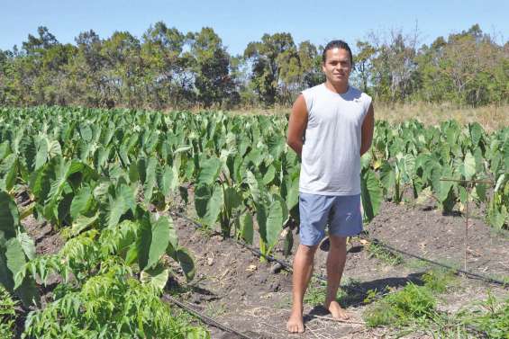 L’appel de la terre  de Rémuel « Baloo » Leroy  