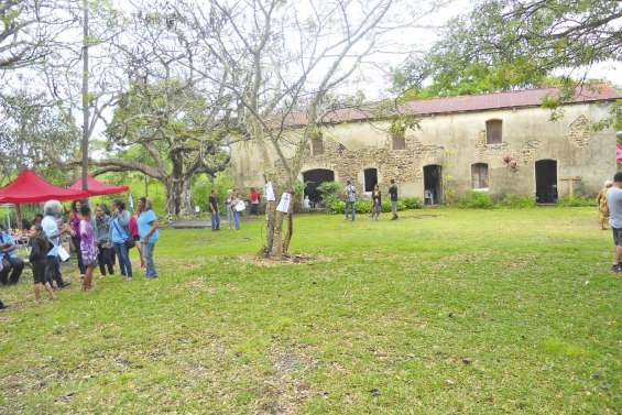 Les jardins de Méaré mettent le café en vedette
