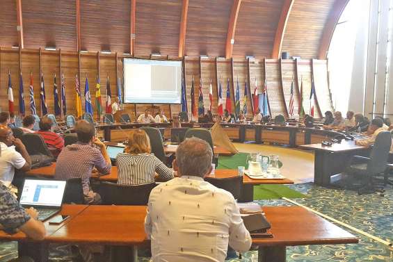 Protéger ce qu’il reste de la forêt