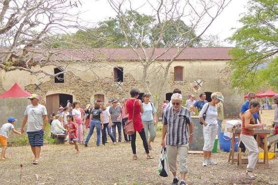 Les jardins de Méaré cultivent le café