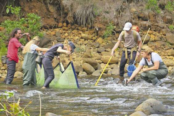 Des fragments d’ADN pour  pister les poissons d’eau douce
