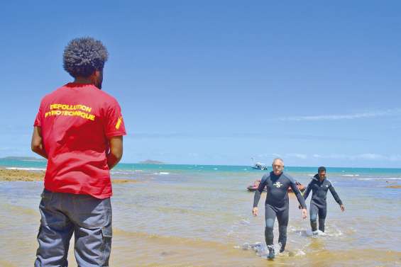 Deux semaines pour dépolluer la plage
