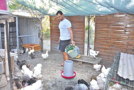 Emile Martin, jeune aviculteur aux multiples casquettes