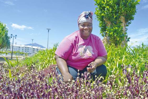 De Saint-Martin à La Coulée