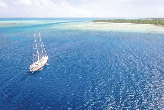 En escale, Tara fait découvrir  son voyage au cœur du corail