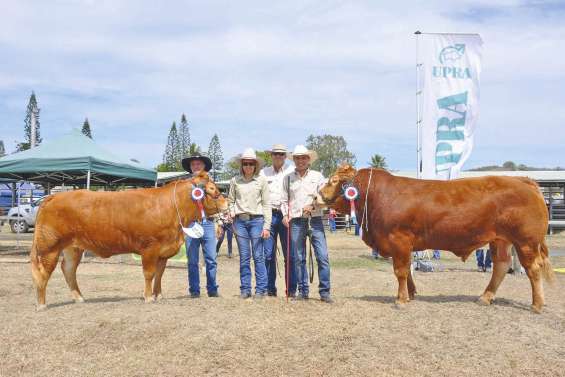 Concours : des spécimens au top 