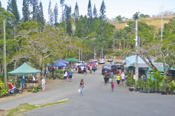 Tout pour les jardins