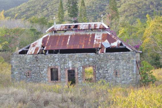 La Brousse selon Johannes Wahono