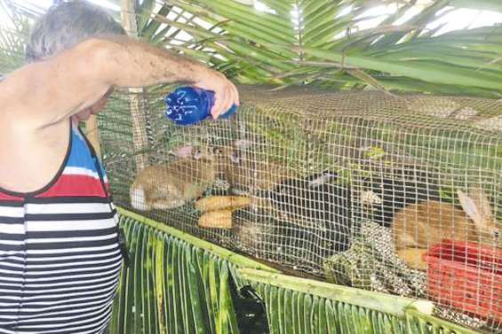 32e Foire agricole : cap sur la santé
