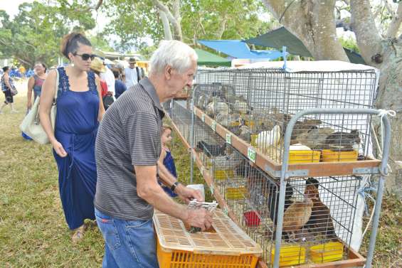 Bienvenue à la ferme de Nessadiou