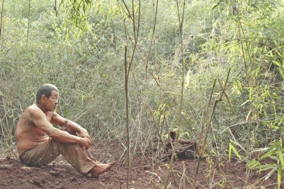 Le long chemin du festival à la télé