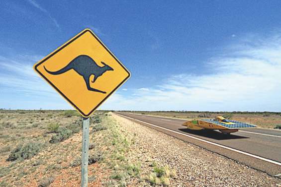 Des fous du volant qui carburent au soleil