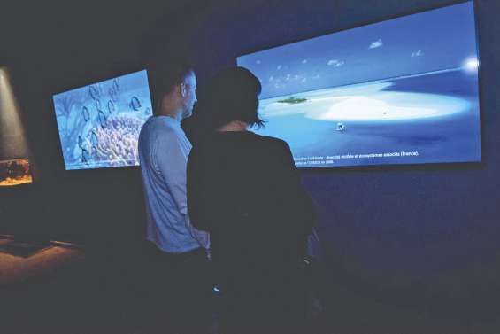 Le récif de Calédonie recréé  à l’Aquarium de Paris