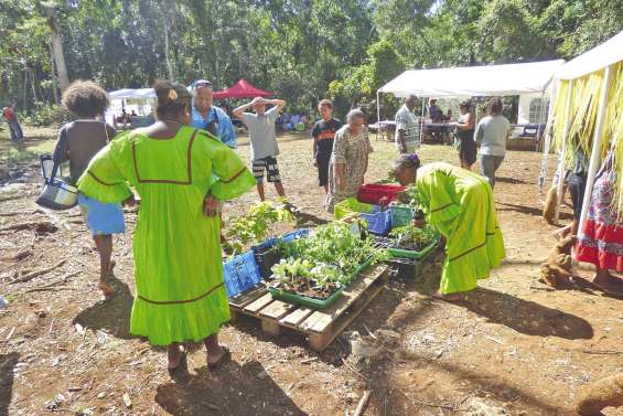 Le marché bio fait  toujours recette