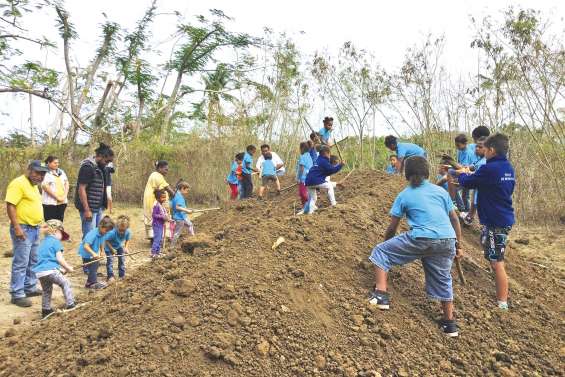 Les écoliers ont leur propre  champ d’ignames