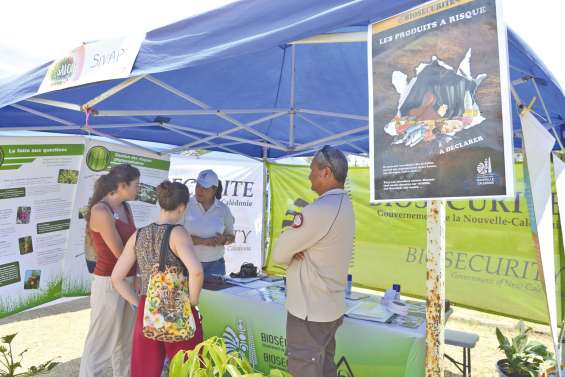 La vie en vert, le temps d’un week-end