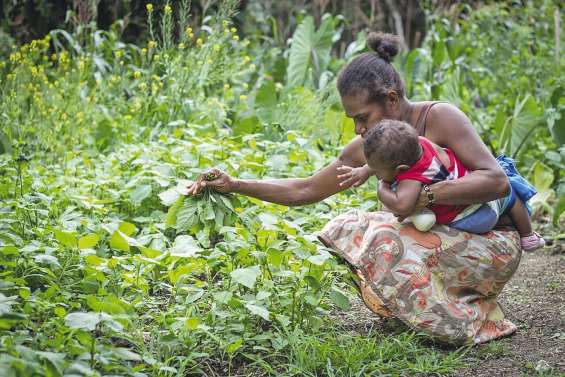 Séminaire océanien organisé au Vanuatu