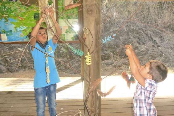 La roussette livre ses secrets aux P’tits Fous