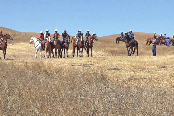 Ouazangou, terre de cheval