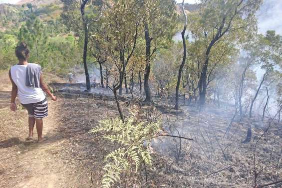 La plantation d’Azareu  réduite en cendres