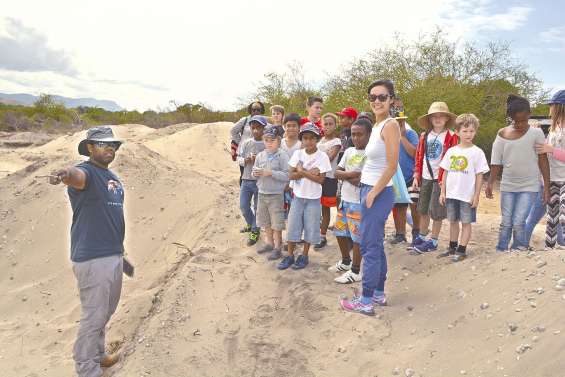 L’archéologie à cœur ouvert à Déva