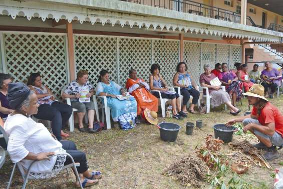 Les bons plans pour réaliser son propre compost
