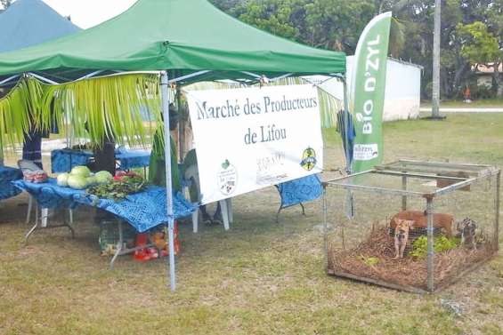 Les producteurs cherchent  des fonds pour un voyage