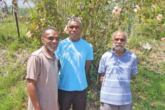 « Partager cette mémoire  de la guerre de 1917 »