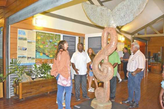 Les baleines ont émergé à Déva