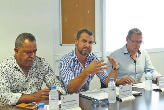 Portiques, fouilles corporelles :  les aéroports domestiques s’équipent