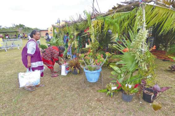 La quatrième fête du tubercule  a animé la tribu d’Hunoj-Ponoz